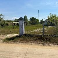 Lô đất 973m2 thổ cư Thôn Nam, Xã Ninh Tân, gần DT5, Giá chỉ 2.9 Tỷ
