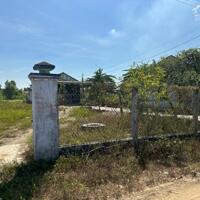Lô đất 973m2 thổ cư Thôn Nam, Xã Ninh Tân, gần DT5, Giá chỉ 2.9 Tỷ