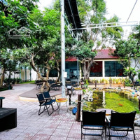 Cho Thuê Quán Cafe 1500M2 Tại Phú Hoà Thủ Dầu Một Bình Dương