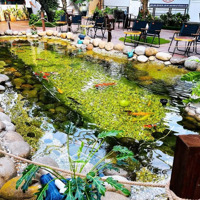 Cho Thuê Quán Cafe 1500M2 Tại Phú Hoà Thủ Dầu Một Bình Dương