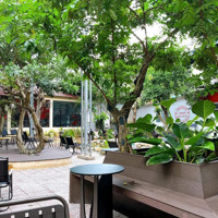 Cho Thuê Quán Cafe 1500M2 Tại Phú Hoà Thủ Dầu Một Bình Dương