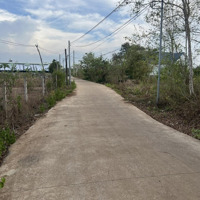Cần Bán 7 Sào (7000M²) Đất Tại Xã Bầu Trâm
