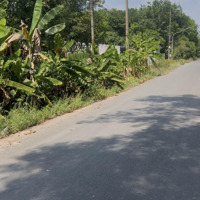 Bán Đất Tại Cao Bá Quát, 2,5 Tỷ, 3692M2, Pháp Lý Đầy Đủ, Mặt Tiền 50M
