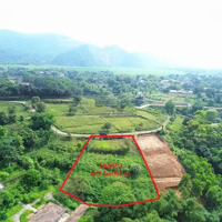 Đất Nghỉ Dưỡng Sát Hồ Cực Đẹp 1.500M² (200M² Thổ Cư) Chỉ Hơn 3 Triệu/M Trung Tâm Lương Sơn!