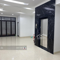 Cho Thuê Nhà Đào Tấn Ba Đìnhdiện Tích50Mx 7T Nhà Mới Thông Sàn Cho Thuê Làm Mọi Mô Hình Giá 46 Triệu