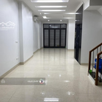 Cho Thuê Nhà Đào Tấn Ba Đìnhdiện Tích50Mx 7T Nhà Mới Thông Sàn Cho Thuê Làm Mọi Mô Hình Giá 46 Triệu
