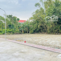 Đất Đối Diện Uỷ Ban Xã Quảng Lợi Đường Ô Tô Chỉ 290 Triệu Sổ Hồng Có Sẵn
