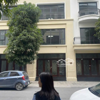 Rổ Hàng Tháng 5 Vinhomes Ocean Park 2,3 Giá Tốt Nhất Dự Án
