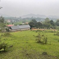 Rẻ Nhất Thị Trường Hoà Lạc, Sẵn Sổ Công Chứng Quy Hoạch Đẹp Giá Chỉ Hơn 3 Triệu/M2 Cổng Trường Quốc Tế