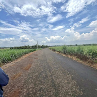 Bán Đất Sào 1000M2, Ngang 13.8M Mặt Tiền Đường Nhựa, Xã Hưng Thịnh
