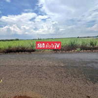 Bán Đất Sào 1000M2, Ngang 13.8M Mặt Tiền Đường Nhựa, Xã Hưng Thịnh