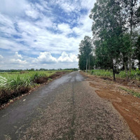 Bán Đất Sào 1000M2, Ngang 13.8M Mặt Tiền Đường Nhựa, Xã Hưng Thịnh