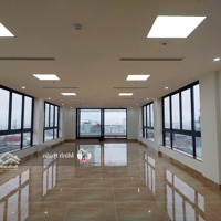 Cho Thuê Nhà Xã Đàn Đống Đadiện Tích100Mx 8Tmặt Tiền6M Thông Sàn Có Pccc Phù Hợp Làm Nhiều Mô Hình Giá 140 Triệu