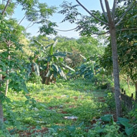 Chính Chủ Cần Bán Lô Đất Tại Vân Hòa Ba Vì Hà Nội Diện Tích 661 Thổ Cư 75 M Mặt Tiền 12 M Sau Nở Hậ