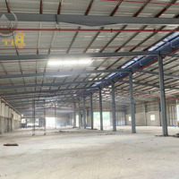 Cho Thuê Kho, Nhà Xưởng 3000M2 Tại Đường 767, Xã Tân An, Vĩnh Cửu, Đồng Nai, 90 Triệu