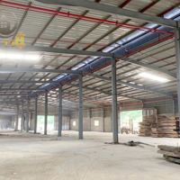 Cho Thuê Kho, Nhà Xưởng 3000M2 Tại Đường 767, Xã Tân An, Vĩnh Cửu, Đồng Nai, 90 Triệu