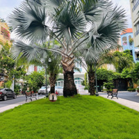 Nhà Biệt Thự Compound 3 Lầu Nguyễn Trọng Tuyển Bào Vệ 24/7 27Ty Về 25Ty