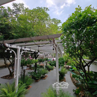 Bán Biệt Thự Sân Vườn Tại Phường An Thạnh Tp Thuận An Bd.diện Tích :557M2 Giá Bán 8.5 Tỷ 0909170304