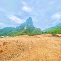 Rẻ Nhất Cao Phong-Hoà Bình, Đất 9300M2 Cần Bán Tại Cao Phong, Hòa Bình, Giá Cực Hời Chỉ 2.X Tỷ