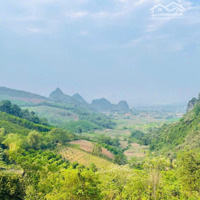 Rẻ Nhất Cao Phong-Hoà Bình, Đất 9300M2 Cần Bán Tại Cao Phong, Hòa Bình, Giá Cực Hời Chỉ 2.X Tỷ