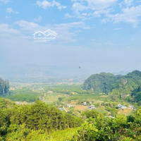 Rẻ Nhất Cao Phong-Hoà Bình, Đất 9300M2 Cần Bán Tại Cao Phong, Hòa Bình, Giá Cực Hời Chỉ 2.X Tỷ