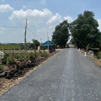 Mặt Tiền Đường Kênh 4, Xã Bình Lợi, Huyện Bình Chánh 1000M2 Sổ Riêng