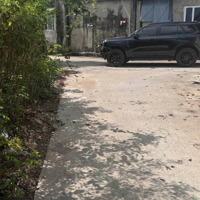 Vườn Nhãn Ngay Trung Tâm Thị Trấn Phước Bửu Xuyên Mộc Brvt 11X35X60Tc