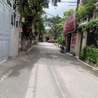 Chính chủ bán đất tổ 8 Thạch Bàn ngõ 541 Bát Khối, đường thông ô tô tránh giá chỉ nhỉnh 10 tỷ