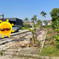 Bán Đất Tại An Hòa, Vĩnh Bảo, Hải Phòng, 7 Triệu / M2, 300 M2 Sẵn Sổ Liên Hệ: 0903257966