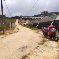 Bán Đất 10, Phường 10, Đà Lạt, Lâm Đồng, 3 Tỷ, 633M2 View Đẹp