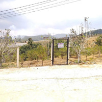 Bán Đất 10, Phường 10, Đà Lạt, Lâm Đồng, 3 Tỷ, 633M2 View Đẹp