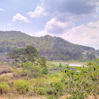 Bán Đất 10, Phường 10, Đà Lạt, Lâm Đồng, 3 Tỷ, 633M2 View Đẹp