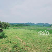 View Cực Phẩm, Đất Bám Suối, Có Ao Có Nhà, Sẵn Nhiều Cây Ăn Quả Và Cây Bóng Mát Lâu Năm