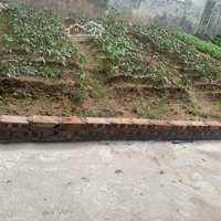 Chủ Cần Tiền Bán Nhanh 80M2 Đất Trâu Quỳ - Gia Lâm, Giá Bán 7,5 Tỷ
