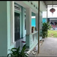 Bán Nhà Riêng Tại Hàm Đức, Hàm Thuận Bắc, Bình Thuận, 1,5 Tỷ, 480M2, Giá Siêu Hời Bao Đẹp