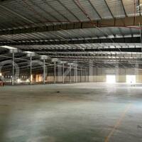 Cho thuê kho xưởng 10.000m² có PCCC tự động và trạm điện 3 pha, trong khu công nghiệp Trà Nóc, TP. Cần Thơ, lộ Container