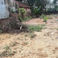 Giá Rẻ - Diện Tích Rộng - Đất Đẹp - 20M Ra Đường Liên Thôn - 10P Đi Sân Bay Nội Bài - Đầu Tư Nét