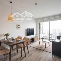 Tổng Hợp Quỹ Căn 1. 5 Phòng Ngủ 2 Phòng Ngủ Cho Thuê Đẹp Giá Từ 12 Triệu - 30 Triệu Tại Vinhomes D''capitale Tdh