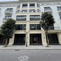 San Hô 15-14 Vinhomes Ocean Park 2. Vị Trí Đẹp Giá Đầu Tư