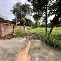 Giá Bán 2,5 Triệu/M2. Bđ Xã Xuân Sơn, Tx Sơn Tây, Hn
