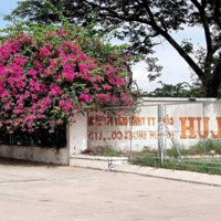Cần Bán Gấp 600M2 Full Thổ Cư Mặt Tiền Đường Nhựa Long Phú, Thị Trấn Cần Giuộc, Long An.