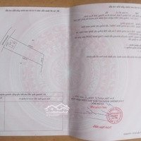 Bán Đất 1100M2 Tại Thị Trấn Măng Đen, 1,15 Tỷ, Giá Cực Chất