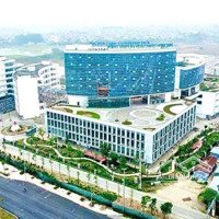 Quỹ Hàng Phong Phú Nhiều Lô Đẹp Đất Dịch Vụ An Thượng Tháng 5/2025, Cách Vinsmart City 2 Km