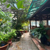 Bán Nhà Mặt Phố 314M2, 9,5 Tỷ Mặt Phố 314M2, 9,5 Tỷ Tại Liên Ấp 123, Vĩnh Lộc B, Bình Chánh Giá Tốt