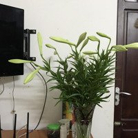 Bán Nhà Riêng 99M2 Tại Mỹ Đình, Nam Từ Liêm, Hà Nội, Giá Thỏa Thuận