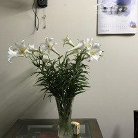 Bán Nhà Riêng 99M2 Tại Mỹ Đình, Nam Từ Liêm, Hà Nội, Giá Thỏa Thuận