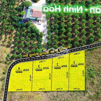 Chủ Cần Tiền Bán Gấp Lô Đất Đẹp Ngay Ngã Tư Dt5 & Dt8 Cạnh Kcn Ninh Xuân Tiềm Năng Tăng Giá Cao