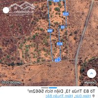 Chính Chủ Bán Lô Đất Đẹp 5662M2. Thôn 6 Hàm Đức. Hàm Thuận Bắc, Bình Thuận