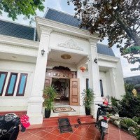 Nhà Biệt Thự Sân Vườn Có Hồ Cá Koidiện Tích250M2 Full Thổ Cư, Giá Ngộp Hơn 3 Tỷ