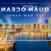 Tôi Chính Chủ Cần Bán Biệt Thự Song Lập Cao Cấp Tại Ngọc Trai Đảo Nhỏ - Vinhomes Ocean Park 1